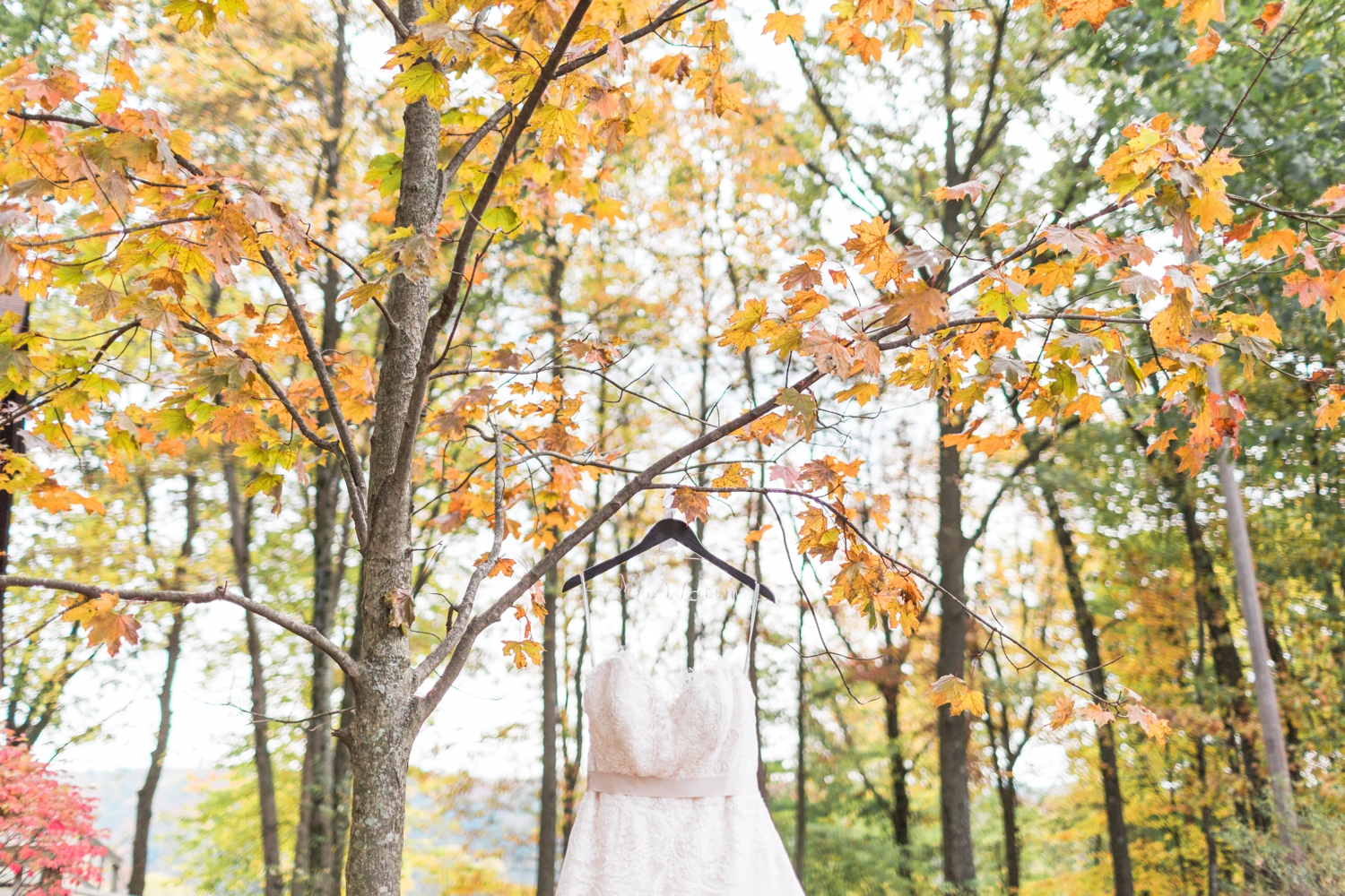 Jill-Rob-Outdoor-Fall-Ohio-Wedding-Photographer-Grand-Barn-at-the-Mohicans_8133.jpg