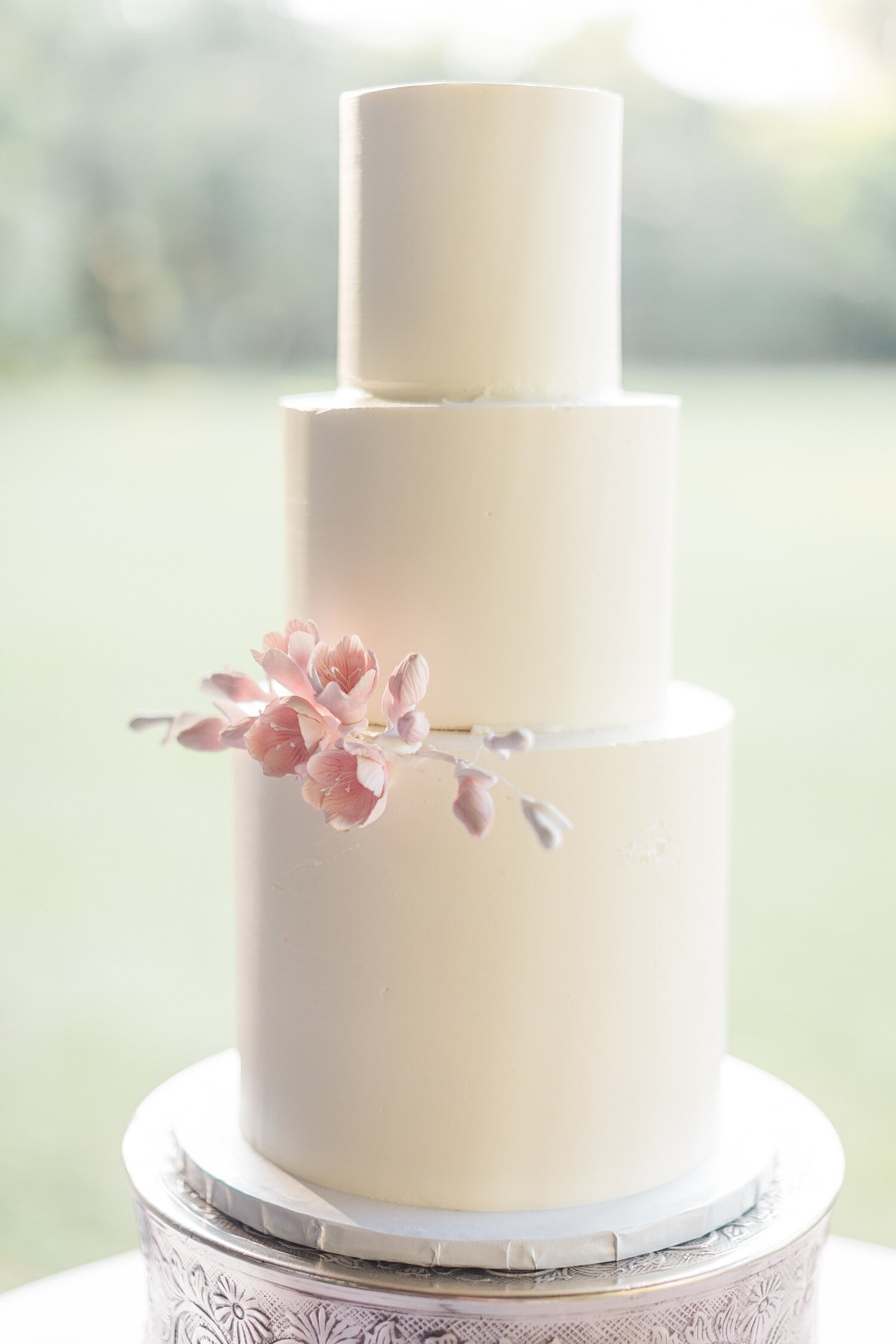 magnolia-plantation-wedding-photography-charleston_9235.jpg